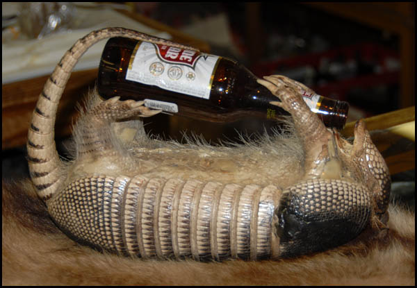 good_armadillo